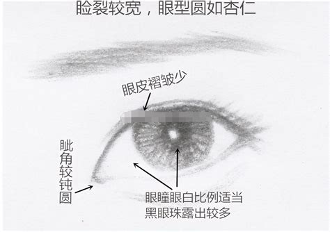 睡鳳眼|桃花眼，丹鳳眼，瑞鳳眼，傳統眼型盤點